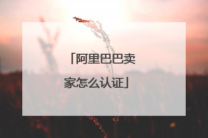 阿里巴巴卖家怎么认证