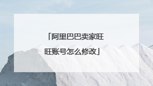 阿里巴巴卖家旺旺账号怎么修改