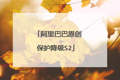 阿里巴巴原创保护降级S2