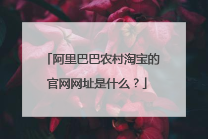 阿里巴巴农村淘宝的官网网址是什么?