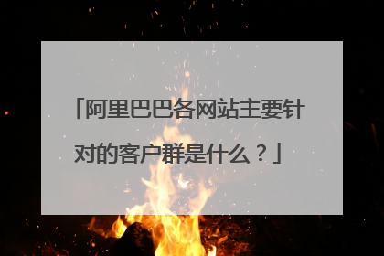 阿里巴巴各网站主要针对的客户群是什么?