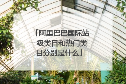 阿里巴巴国际站一级类目和热门类目分别是什么