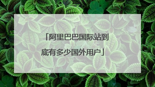 阿里巴巴国际站到底有多少国外用户