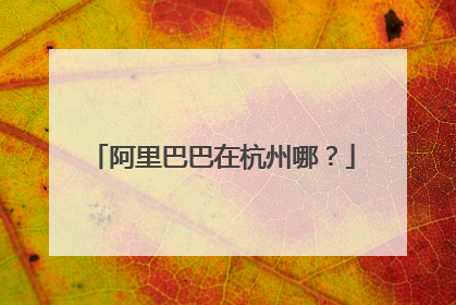 阿里巴巴在杭州哪?
