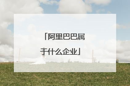 阿里巴巴属于什么企业