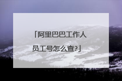 阿里巴巴工作人员工号怎么查?