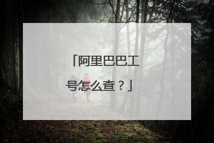 阿里巴巴工号怎么查?