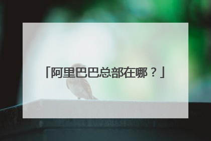 阿里巴巴总部在哪?