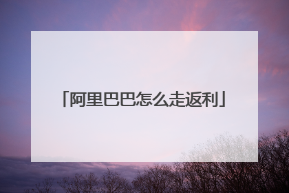 阿里巴巴返利(阿里巴巴返利减的钱卖家可以要求买家补差价吗)