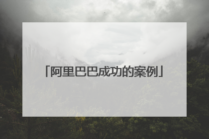阿里巴巴成功的案例