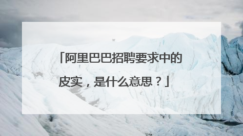 阿里巴巴招聘要求中的皮实，是什么意思？