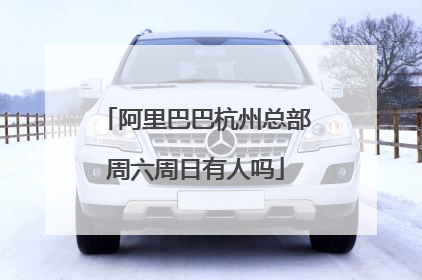 阿里巴巴杭州总部周六周日有人吗