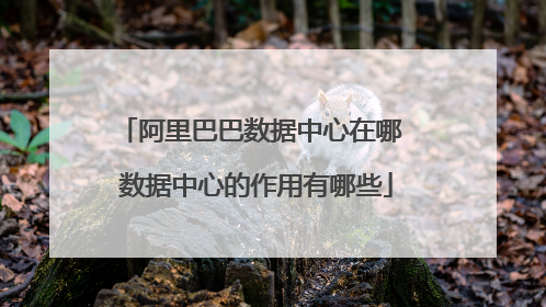 阿里巴巴数据中心在哪 数据中心的作用有哪些