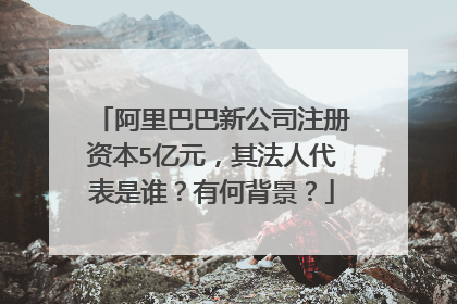 阿里巴巴新公司注册资本5亿元，其法人代表是谁？有何背景？