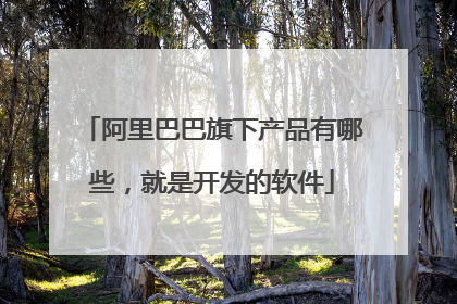 阿里巴巴旗下产品有哪些,就是开发的软件