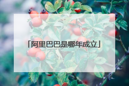 阿里巴巴是哪年成立