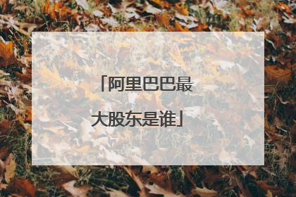 阿里巴巴最大股东是谁
