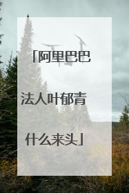阿里巴巴法人叶郁青什么来头