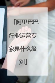 阿里巴巴行业运营专家是什么级别