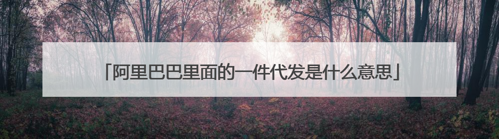 阿里巴巴里面的一件代发是什么意思