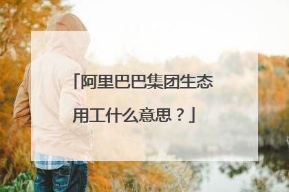 阿里巴巴集团生态用工什么意思?