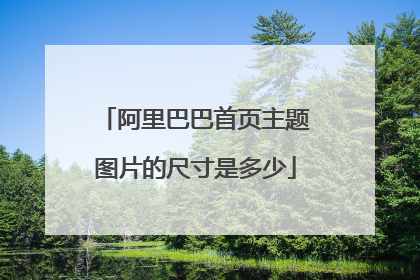 阿里巴巴首页主题图片的尺寸是多少