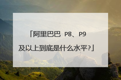 阿里巴巴 P8、P9 及以上到底是什么水平?