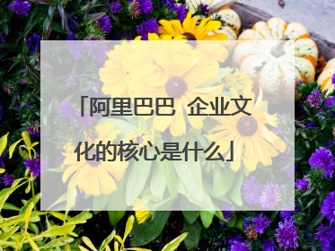 阿里巴巴 企业文化的核心是什么