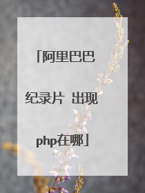 阿里巴巴 纪录片 出现php在哪