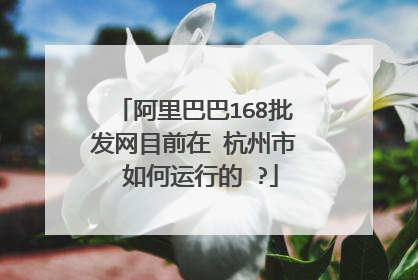 阿里巴巴168批发网目前在 杭州市 如何运行的 ?