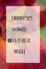 阿里巴巴ICBU是哪几个英文单词