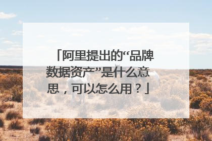阿里提出的“品牌数据资产”是什么意思,可以怎么用?