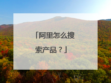 阿里怎么搜索产品?