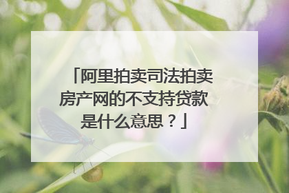 阿里拍卖司法拍卖房产网的不支持贷款是什么意思？
