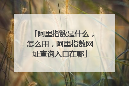 阿里指数是什么,怎么用,阿里指数网址查询入口在哪