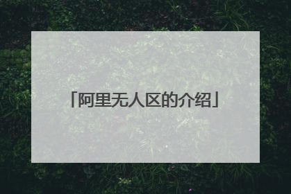 阿里无人区的介绍