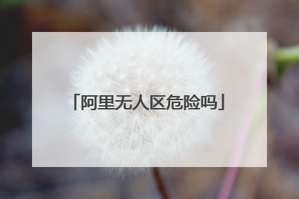 阿里无人区危险吗