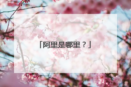阿里是哪里?