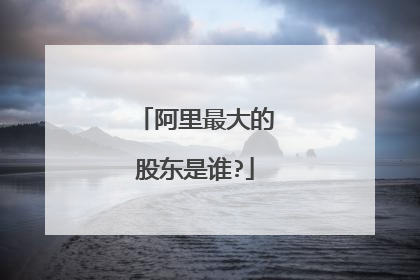 阿里最大的股东是谁?