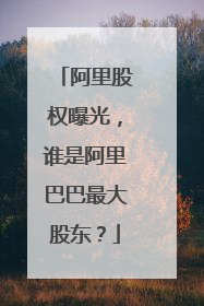 阿里股权曝光,谁是阿里巴巴最大股东?