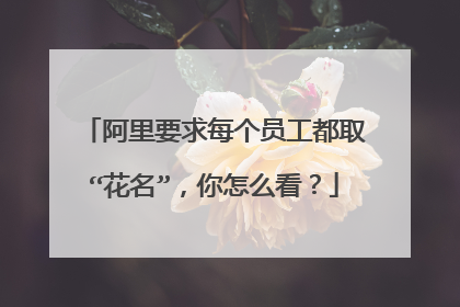 阿里要求每个员工都取“花名”，你怎么看？