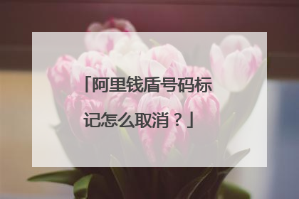 阿里钱盾号码标记怎么取消？