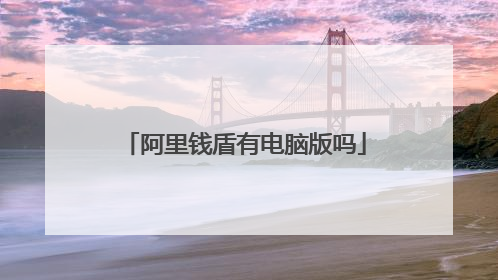 阿里钱盾有电脑版吗