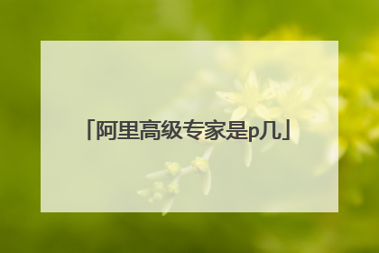 阿里高级专家是p几