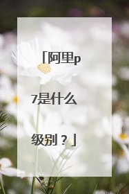 阿里p7是什么级别?