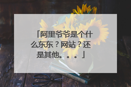 阿里爷爷是个什么东东?网站?还是其他。。。