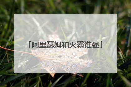 阿里瑟姆和灭霸谁强