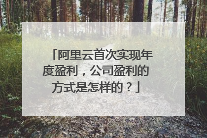阿里云首次实现年度盈利,公司盈利的方式是怎样的?