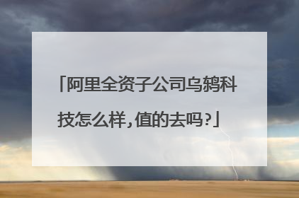 阿里全资子公司乌鸫科技怎么样,值的去吗?