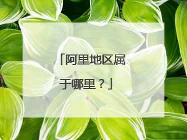 阿里地区属于哪里？